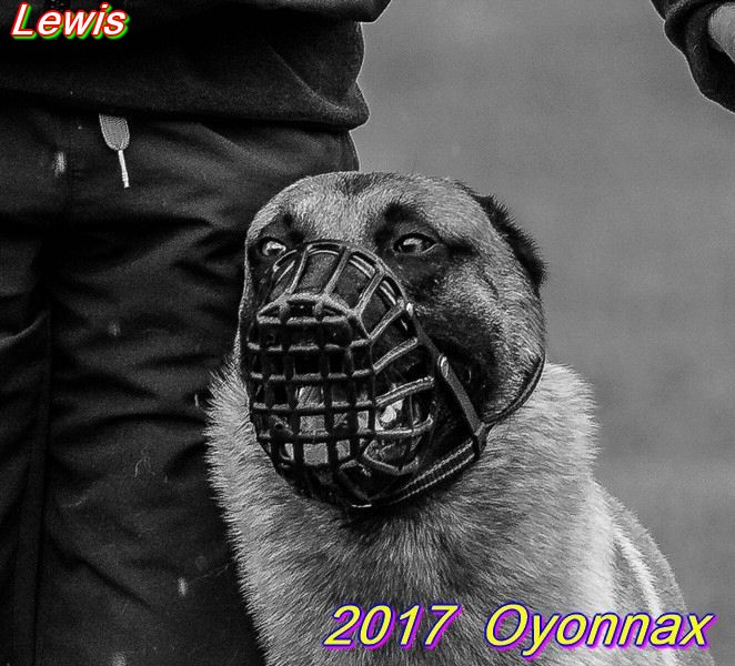 2017-oyo-lewis (4).jpg